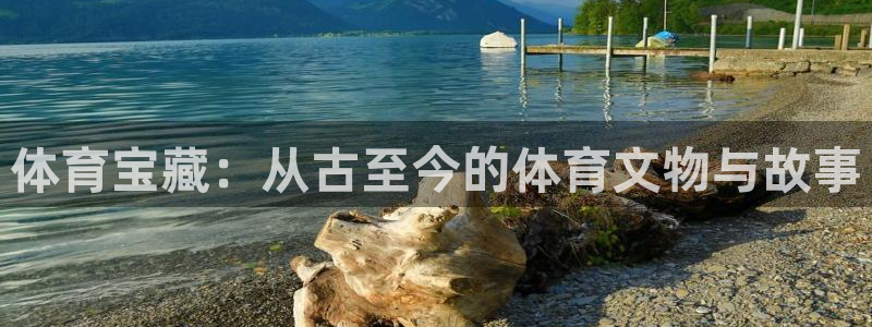体育宝藏：从古至今的体育文物与故事