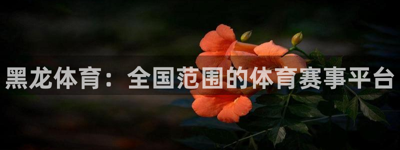 黑龙体育：全国范围的体育赛事平台