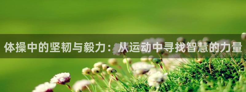 体操中的坚韧与毅力：从运动中寻找智慧的力量