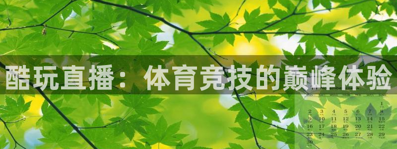 酷玩直播：体育竞技的巅峰体验