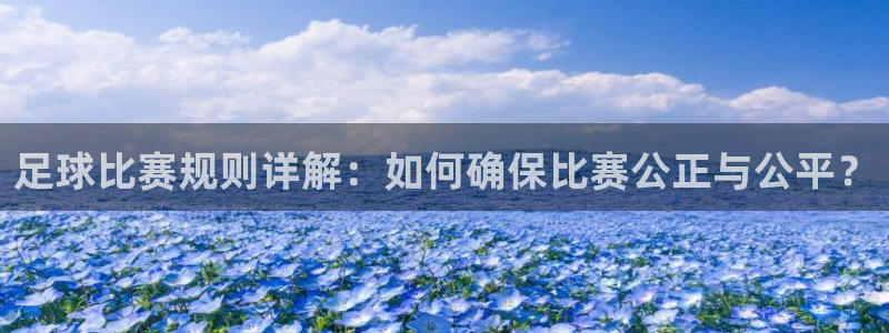 88体育在线直播