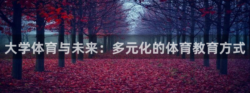 bo88篮球直播