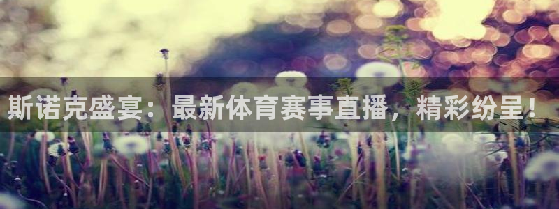 88看球nba线上直播：斯诺克盛宴：最新体育赛事直播，精彩纷呈！