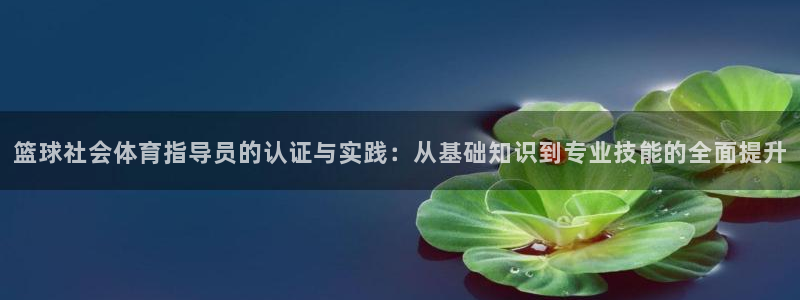 nba直播在线观看免费88看球
